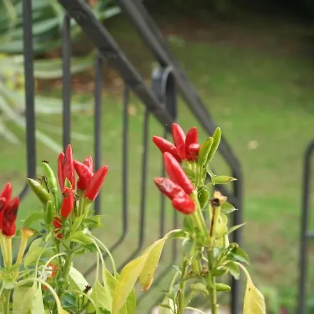 Appartement Dei Fiori