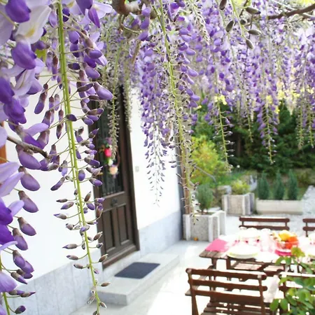 Appartement Dei Fiori *